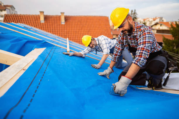Best Metal Roofing Contractor  in Park City, IL